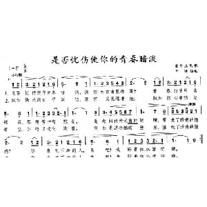 是否忧伤使你的青春暗淡_外国歌谱