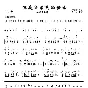 二胡谱 | 你是我最美的格桑 二胡演奏谱 阿汝汗