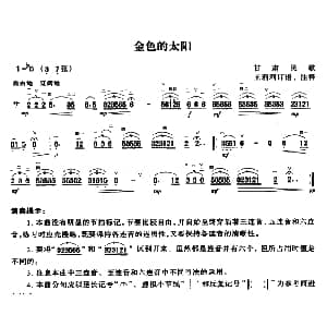 二胡谱 | 金色的太阳 甘肃民歌 王莉莉订谱版 甘肃民歌 王莉莉订谱