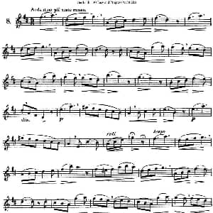 长笛曲谱 | 三十首基础及提高练习曲 NO.8 Garibold 加里波第