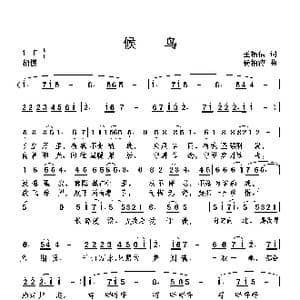 候鸟_歌曲简谱_词曲:王福信 杨柏涛