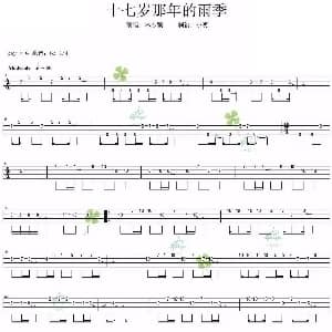 十七岁的雨季 吉他谱 林志颖