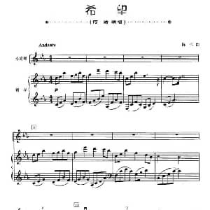 小提琴谱 | 希望 小提琴 钢琴伴奏 陈伟