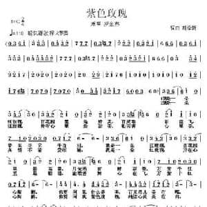 紫色玫瑰_民歌简谱_词曲:胡泽新 胡泽新