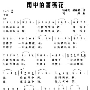 雨中的蔷薇花_通俗唱法乐谱