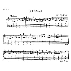 手风琴谱 | 爱尔兰双人舞 美 马格南特