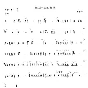 笛子谱 | 少年壮志不言愁 雷蕾