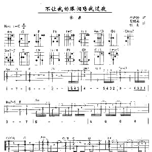 不让我的眼泪陪我过夜 吉他谱 齐秦