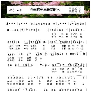 你是我今生最爱的人_通俗唱法乐谱_词曲:于海虹 荣亚楠