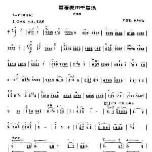 二胡谱 | 喜看麦田千重浪