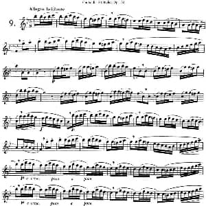 长笛曲谱 | 二十首练习曲作品132号之9 Garibold 加里波第