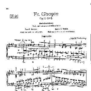 53首以肖邦练习曲为素材而作的练习曲 钢琴谱 里奥鲍尔德 戈多夫斯基