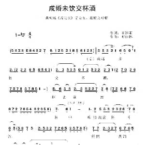 黄梅戏谱 | 成婚未饮交杯酒 孟姜女 电影版选段 王冠亚 时白林