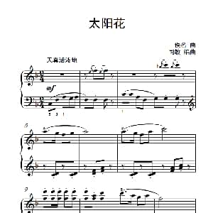 太阳花 钢琴谱 佚名