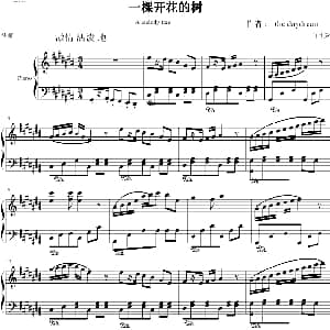 一棵开花的树 钢琴谱