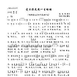爱上你是我一生的错_歌曲简谱_词曲:陈佳明 陈佳明