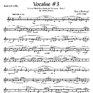 Bordogni Vocalise #3 小号 Marco Bordogni