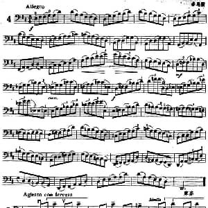 鲍斯特列姆大提琴练习曲 4—8