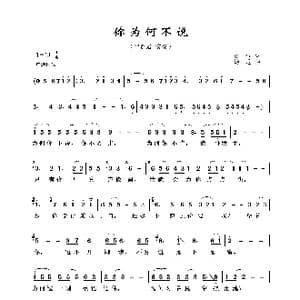 你为何不说_歌曲简谱_词曲:孙仪 汤尼