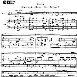 小提琴谱 | Violin Sonatina in G minor Op.137 No.3 小提琴 钢琴伴奏