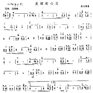 二胡谱 | 美丽的心灵 金凤浩