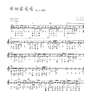 电子琴谱 | 常回家看看 线简混排弹唱谱 车行 戚建波