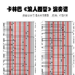 浪人琵琶_歌谱投稿