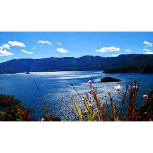 月光下的泸沽湖_歌曲简谱_词曲:金鸿为 刘启明