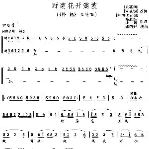 花鼓戏谱 | 野菊花开满坡 补锅 兰英唱段