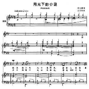 月光下的小岛_美声唱法乐谱_词曲:叶之桦 王世光