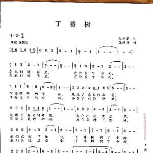 丁香树_歌曲简谱_词曲:赵鹏豪 王焕升