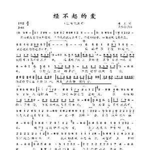 经不起的爱_歌曲简谱_词曲:袖儿 大约冬季
