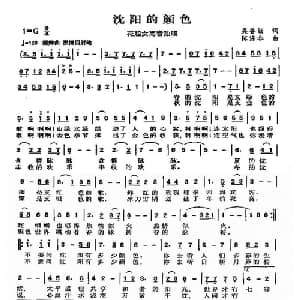 沈阳的颜色_通俗唱法乐谱_词曲:吴善翎 陈涤非