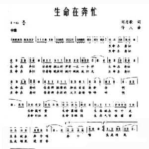 生命在奔忙_民歌简谱_词曲:刘志毅 传人