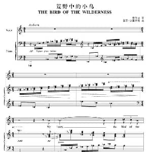 荒野中的小鸟_外国歌谱