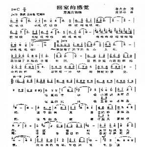 回家的感觉_歌曲简谱_词曲:邬大为 陈涤非