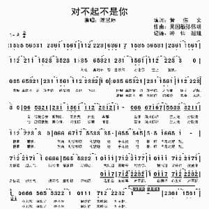 对不起不是你_歌谱投稿