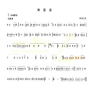 葫芦丝谱 | 阿里里