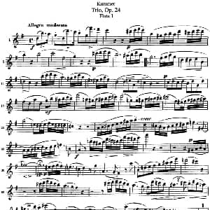 长笛曲谱 | 库默长笛三重奏Op.24 Flute 1 Kummer 库默