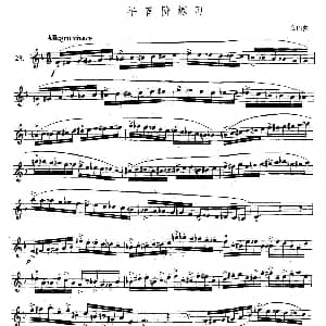 萨克斯谱 | 萨克斯练习曲合集 5—23 半音阶练习 海因茨