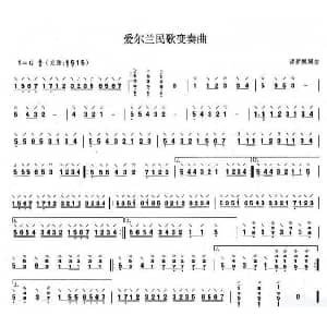 爱尔兰民歌变奏曲 中阮谱