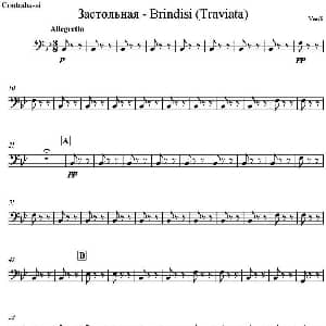 Brindisi Traviata 饮酒歌 管弦乐 倍大提琴