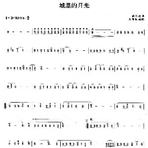 笛子谱 | 城里的月光