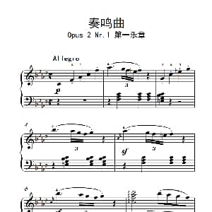 奏鸣曲 Opus 2 Nr.1 第一乐章 钢琴谱 贝多芬
