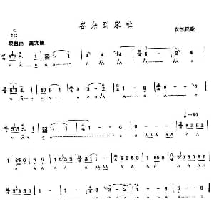 口琴谱 | 客来到家啦