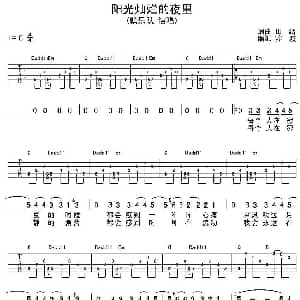 阳光灿烂的夜里 吉他谱 飘乐队 田缙 田缙