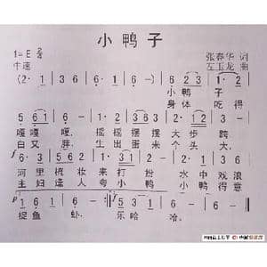 小鸭子_歌谱投稿_词曲:张春华 左玉龙