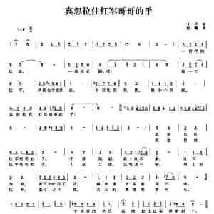 真想拉住红军哥哥的手_民歌简谱_词曲:于平 张琳
