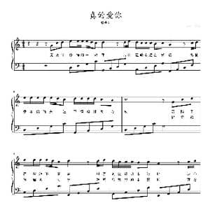 真的爱你_歌曲简谱