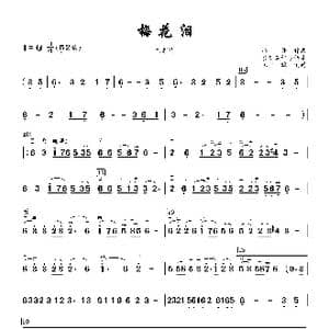 梅花泪_歌曲简谱_词曲:刘海东 冯丹